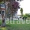 Rena's House_best deals_Hotel_Peloponesse_Achaia_Kalogria