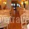 Delphi Art Hotel_best deals_Hotel_Central Greece_Attica_Athens