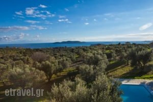 Abelia Luxurious Villas_best deals_Villa_Thessaly_Magnesia_Pilio Area