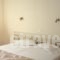 Yasemi Rooms_best prices_in_Room_Ionian Islands_Lefkada_Lefkada Rest Areas