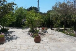 Studios Anastasia 1_best prices_in_Hotel_Aegean Islands_Thassos_Thassos Chora