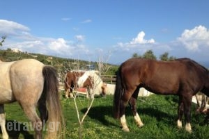 Farm Villa Residence_holidays_in_Villa_Crete_Chania_Sfakia