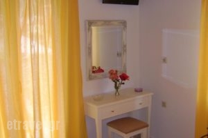 Vasso's Studios_lowest prices_in_Hotel_Ionian Islands_Lefkada_Vasiliki