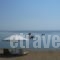 Bungalows Camping Kouyoni_accommodation_in_Hotel_Macedonia_Halkidiki_Poligyros