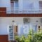 Hotel Julietta_holidays_in_Hotel_Sporades Islands_Alonnisos_Alonissosora