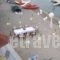 Christina Hotel_best deals_Hotel_Ionian Islands_Corfu_Corfu Rest Areas