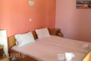 Pansion Eleni_holidays_in_Hotel_Macedonia_Halkidiki_Ammouliani