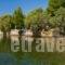 Villa Aggeliki_best deals_Villa_Central Greece_Evia_Eretria