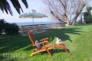 Villa Aggeliki_lowest prices_in_Villa_Central Greece_Evia_Eretria