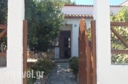 Amalia Studios in Skopelos Chora, Skopelos, Sporades Islands