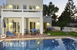 Oliv Apartments in Piso Livadi, Paros, Cyclades Islands