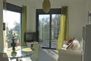 The Olive Grove Boutique Villas_holidays_in_Villa_Thessaly_Magnesia_Pilio Area