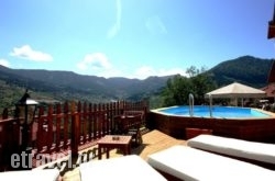 Archontiko Metsovou Luxury Boutique Hotel in Metsovo, Ioannina, Epirus