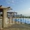 Althea Villas_holidays_in_Villa_Cyclades Islands_Paros_Paros Rest Areas