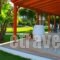 Ariadni Apartments_best deals_Apartment_Crete_Heraklion_Karteros