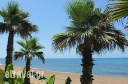 Ionion Beach Apartment Hotel in Igoumenitsa, Thesprotia, Epirus