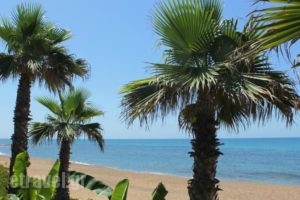 Ionion Beach Apartment Hotel_accommodation_in_Apartment_Peloponesse_Ilia_Vartholomio