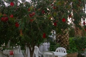 Kapetanios Studios_accommodation_in_Hotel_Ionian Islands_Corfu_Corfu Rest Areas