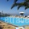 Althea Villas_travel_packages_in_Cyclades Islands_Paros_Paros Rest Areas