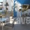 Villa Sophie_holidays_in_Villa_Cyclades Islands_Paros_Piso Livadi