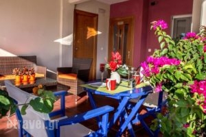 Polymnia Studios_best prices_in_Hotel_Macedonia_Pieria_Olympiaki Akti