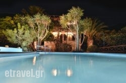 Villa Palm River in Sfakia, Chania, Crete