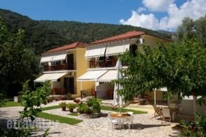 Natasa Studios_accommodation_in_Hotel_Ionian Islands_Ithaki_Ithaki Chora