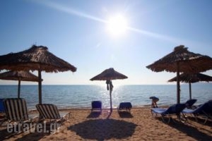 Delfinia Hotel_best prices_in_Hotel_Ionian Islands_Corfu_Moraitika