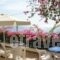 Hotel Hariklia_best prices_in_Hotel_Crete_Rethymnon_Aghia Galini