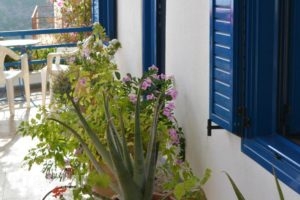 Hotel Hariklia_best deals_Hotel_Crete_Rethymnon_Aghia Galini