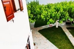 Thalassia Studios in Kalamitsa, Skyros, Sporades Islands