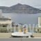 Hara Studios and Apartments_best deals_Apartment_Cyclades Islands_Paros_Naousa