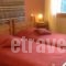 Archontiko Divani_holidays_in_Hotel_Thessaly_Trikala_Trikala City