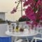 Apartments Tarsa_travel_packages_in_Cyclades Islands_Antiparos_Antiparos Chora