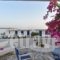 Apartments Tarsa_holidays_in_Apartment_Cyclades Islands_Antiparos_Antiparos Chora