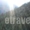 Old Inn_best deals_Hotel_Central Greece_Evritania_Karpenisi