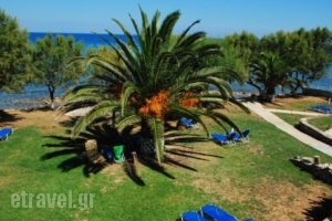 Diomare Villas_accommodation_in_Villa_Ionian Islands_Zakinthos_Zakinthos Rest Areas