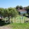 Diomare Villas_best deals_Villa_Ionian Islands_Zakinthos_Zakinthos Rest Areas