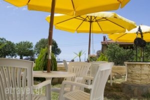 Apanemi Studios_lowest prices_in_Hotel_Aegean Islands_Lesvos_Petra