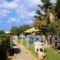 Studios Marfo_best deals_Hotel_Cyclades Islands_Andros_Andros City