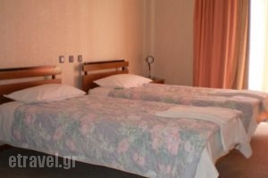 Hotel Koutriaris_best prices_in_Hotel_Central Greece_Viotia_Arachova