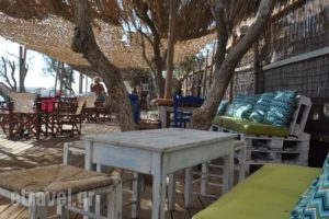 Golden Beach Hotel & Apartments_best prices_in_Apartment_Cyclades Islands_Tinos_Tinosst Areas