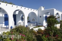 Bungalows Marina in Naousa, Paros, Cyclades Islands