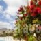 Hotel Ziakis_best prices_in_Hotel_Dodekanessos Islands_Rhodes_Pefki