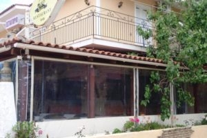 Villa Marina_lowest prices_in_Villa_Ionian Islands_Kefalonia_Kefalonia'st Areas