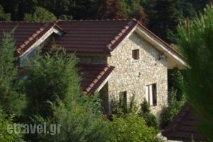 Georgio's V Chalet_lowest prices_in_Hotel_Peloponesse_Achaia_Kalavryta