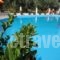 Hotel Sylvia_best prices_in_Hotel_Aegean Islands_Thasos_Thasos Chora