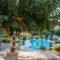 Villa Faye_holidays_in_Villa_Crete_Chania_Vryses Apokoronas