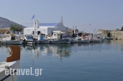 Blue Jasmin in Naousa, Paros, Cyclades Islands