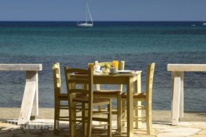 Albouro Seafront Apartments_lowest prices_in_Apartment_Ionian Islands_Kefalonia_Katelios